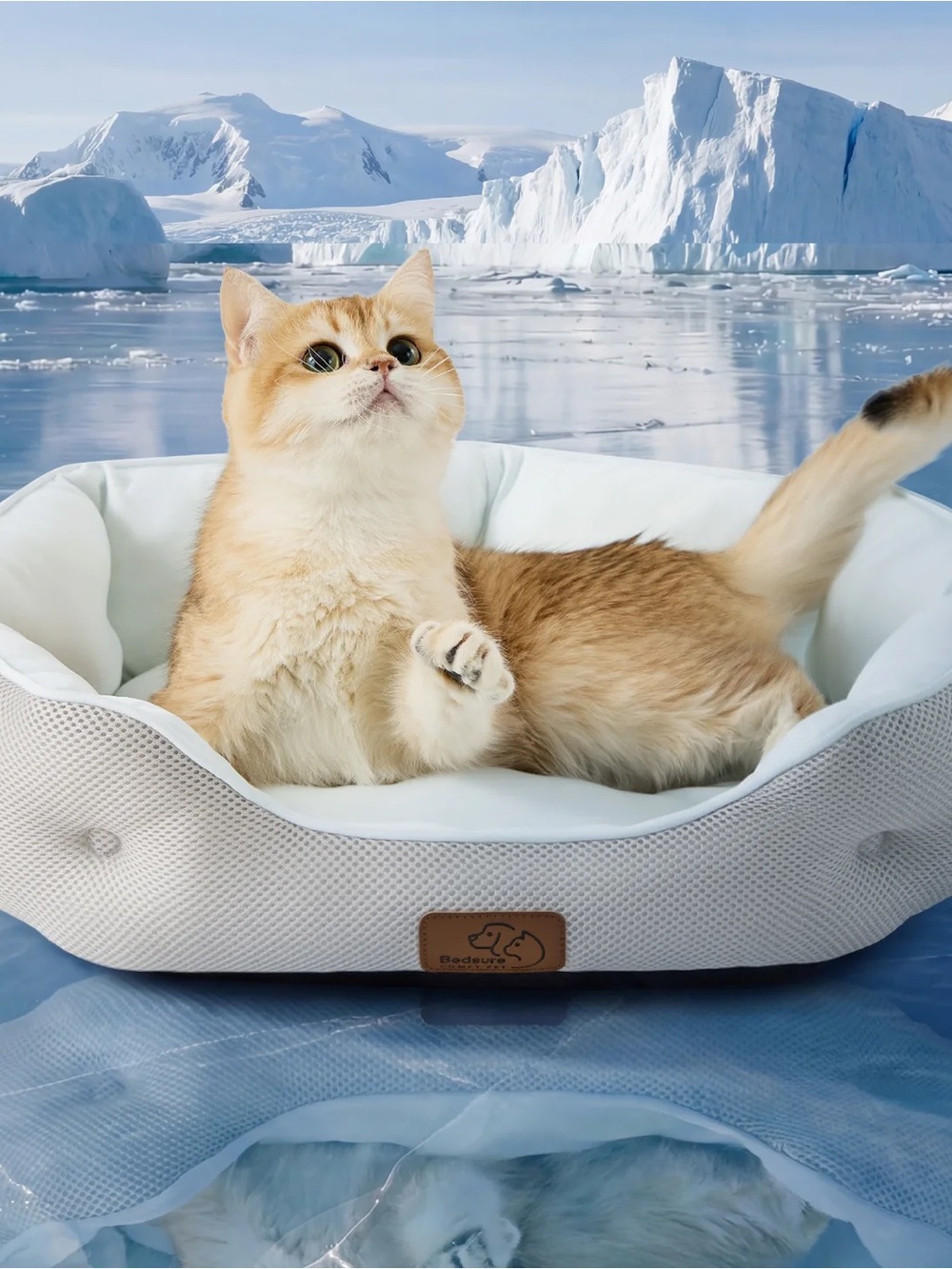 BEDSURE SIZE SMALL COOLING PET BEDS ❗️🩵🧊❄️🐾 FOR DOGS OR CATS VERY COOLING